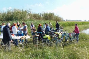 La Virée Solex et mob's 2017 : drôles de montures au Plat Pays