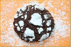 Les traditionnels petits gâteaux de Noël, cette année, vous aussi laissez vous tenter!