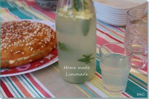 Home made limonade, souvenir de vacances en République Tchèque...