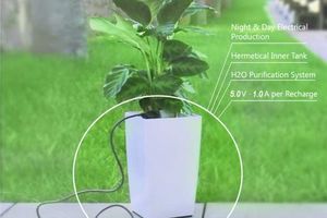 Rechargez votre smartphone grâce à l’énergie des plantes