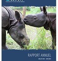 Protection des animaux IFAW