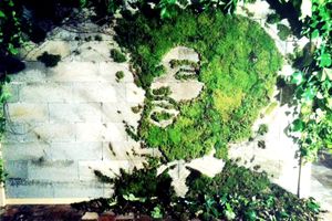 Des graffitis écologiques à partir de mousse naturelle