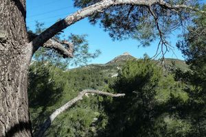 Puits du Murier : 30 mars 2015
