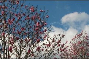 Mars 2016 : moi après mois