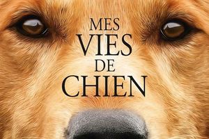 MES VIES DE CHIEN (A Dog's Purpose)