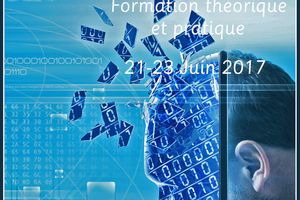 Formation théorique et pratique sur l’utilisation de la Réalité Virtuelle en Sciences du Cerveau - 21-23 juin 2017