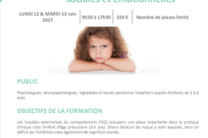 Formation - Evaluation et prise en charge des comportements difficiles chez le jeune enfant (3-5 ans) - 12-13 juin 2017