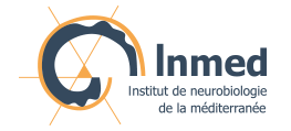 Inmed - Séminaires externes - Neurobiologie - Juin-juillet 2017