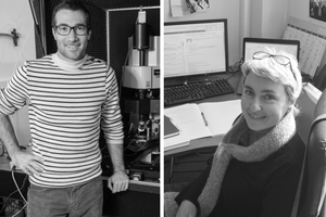 Médaille de Bronze du CNRS : Brice Bathellier et Francesca Sargolini - Neuroscience