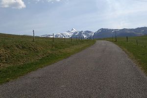 retour Croix Blanche