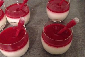 Panna cotta légère au coulis de fruits rouges