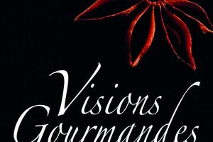 Visions Gourmandes : le livre
