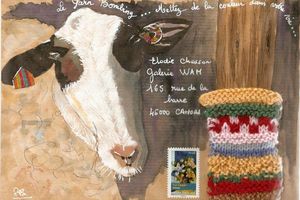 De la brebis au Yarn Bombing...