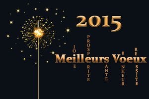 Bonne Année!!