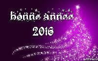 Bonne année et bon nouvel an 2016