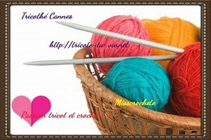 Appel aux tricoteuses/crocheteuses sur Cannes (06)