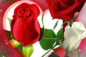 Une bonne fète pour toutes les mamans