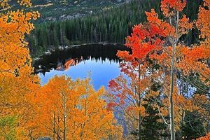 Esprit d'Automne