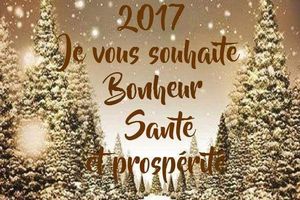 Meilleurs vœux pour l'année 2017