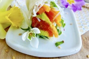 Rouleaux de printemps à la truite fumée