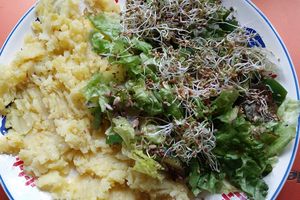 Pommes de terre vapeur / salade