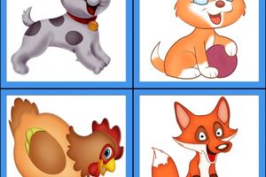 où vivent les animaux ?
