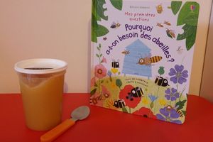 Pourquoi a-t-on besoin des abeilles ? - Editions Usborne