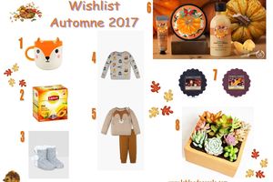 Wishlist d'Automne 2017