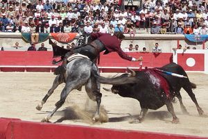 Le Fils du matador