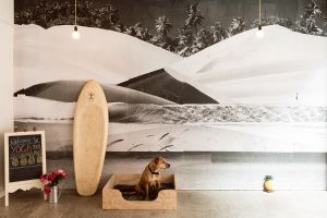 Yoga australien
