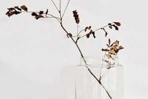 Humeur Déco #89