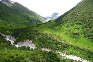 La vallée des fleurs