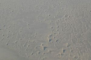 Seul sur Mars ?