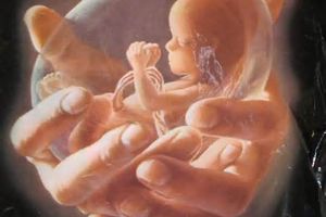 Une Femme Enceinte Tuée Pour Avoir Refusé l'Avortement