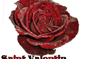 Bonne Saint Valentin !