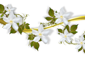 Litanies de Notre-Dame de Fatima