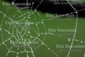 Conférence avec Jacques Antonin sur "Le sens de la Vie et la Paix intérieure"