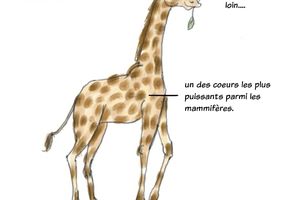 programme de novembre et décembre non exaustif