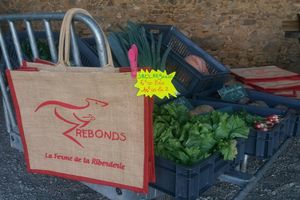 Offres de la semaine 18 et 19