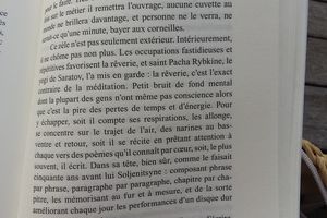 Quelques pages de Limonov d'Emmanuel Carrère
