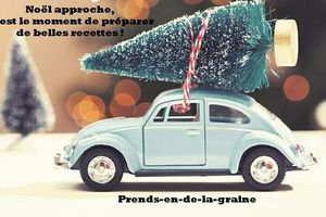 Noël approche, vite vite aux fourneaux!