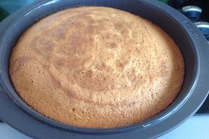 Le gâteau marbré vanille-praliné