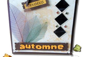 Défi carte scrapée...
