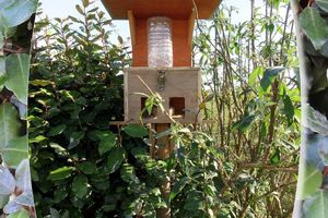 Mangeoires réserve graines pour oiseaux...