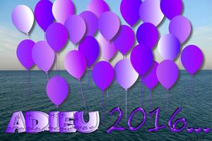Bonne Année 2017...