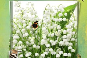 Bonne fête du muguet...