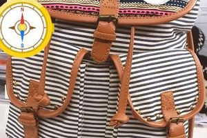 What in my bag?