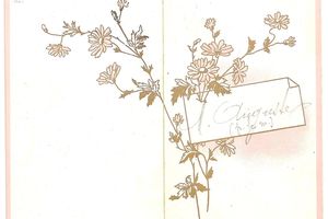 Menu de mariage de 1893