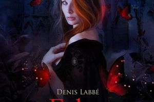 Echos Obscurs de Denis Labbé