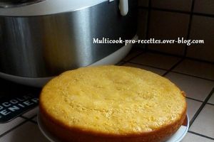 Gâteau ananas/coco
